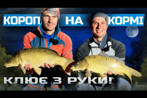 Зернові, пелетс чи бойл: що дало більше риби на простому озері фото