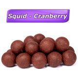 Бойл Розчинний Кальмар - Журавлина 24мм - 1кг Boil-Soulable-Squid-Cranberry фото