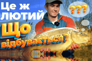 Друге відкриття сезону 2024: ловля коропа на флет фідер у лютому фото