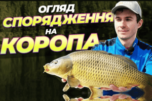 Ловля коропа на флет фідер: як і чим ми ловимо фото