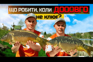 Ловля карпа на флет фідер весною: тактика, прикормка та робочі рішення фото