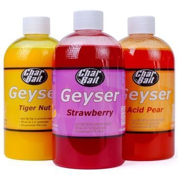 Geyser