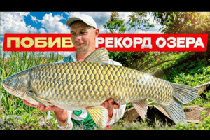 Літня ловля коропа у спеку: клює цілий день навіть у складних умовах фото
