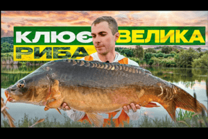 Як ловити велику рибу влітку: класичний карпфішинг у спеку та змаганнях фото