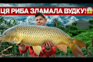 Осіння ловля коропа на змаганнях: флет-метод і адаптація до холодної води фото