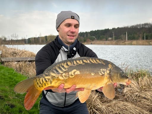 Ловля коропа ранньою весною, рибалка тримає коропа на березі водойми після успішної риболовлі у холодній воді.