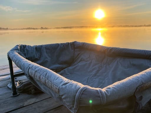 Поведінка коропа у холодній воді навесні, ранковий спокій на водоймі під час весняної риболовлі.